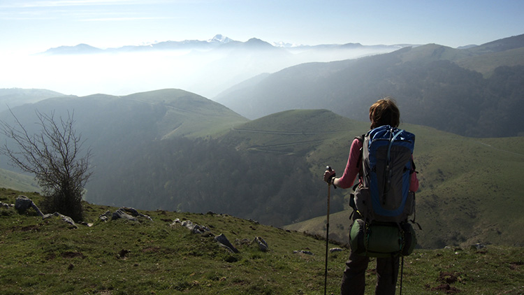 Walking the Camino Annie