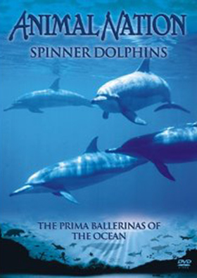 Spinner Dolphins